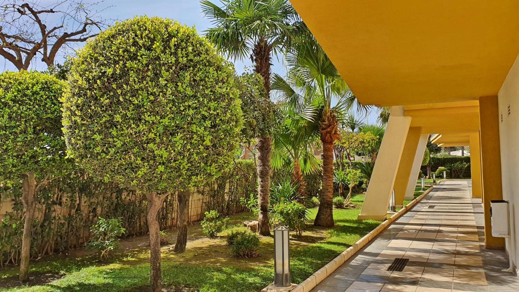 Devesa Park Gandia - Alquiler Solo A Familias Appartement Playa de Gandia Buitenkant foto
